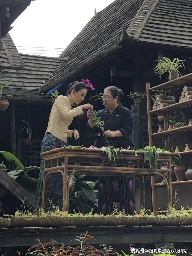 了解英语程度如何怎么填写知识星球,专注分享实用知识